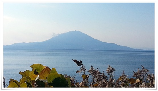 噴煙を上げている桜島＠鹿児島