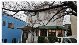 店舗前の桜の木@cafe 桜亭 店舗前の桜の木@cafe 桜亭