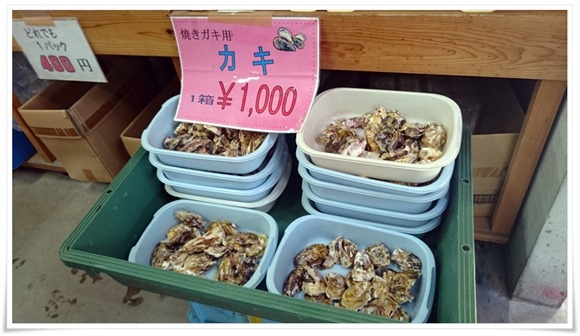 牡蠣ひと盛り1000円@蓑島カキ直売所 牡蠣ひと盛り1000円@蓑島カキ直売所