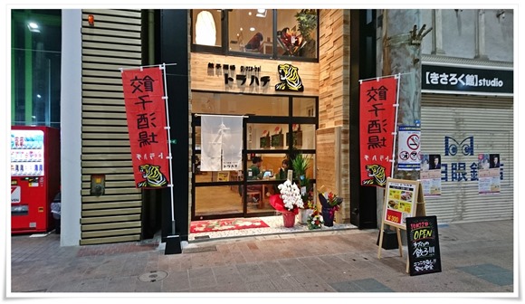 【黒崎・居酒屋】餃子酒場トラハチ黒崎店～激安コース＆コース限定飲み放題にチャレンジしました！