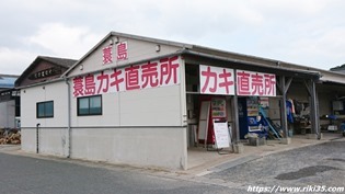 蓑島カキ直売所