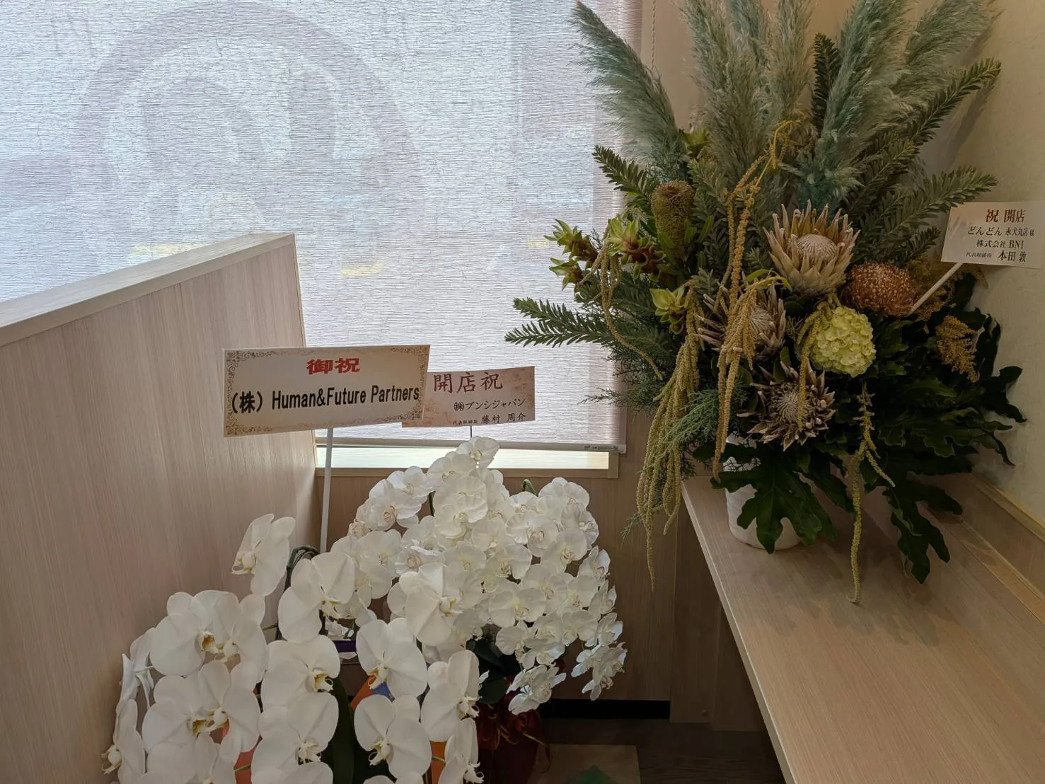 開店祝いの胡蝶蘭と花