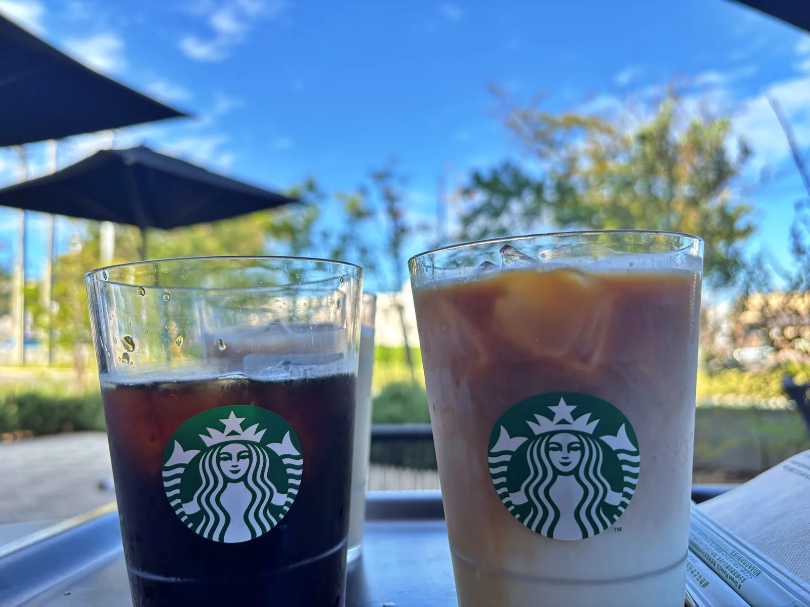 テラスのテーブルにアイスコーヒーとミルク入りのアイスドリンク。グラスにサイレンのロゴ